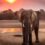Africana Travel Expands Hoedspruit Portfolio With Five New Properties for 2025/2026 Holiday Season