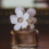 Popular Designer Fragrances and What Makes Them Special