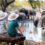 Why Botswana Is One of the Best Safari Destinations in Africa
