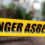 Understanding Asbestos Work and Why Careful Handling Matters