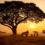 Experience the Magic of a Kosher Safari