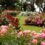 Green Cube Maintenance & Landscaping Shares Expert Guide on Preparing Properties for Events and Viewings With Instant Lawn