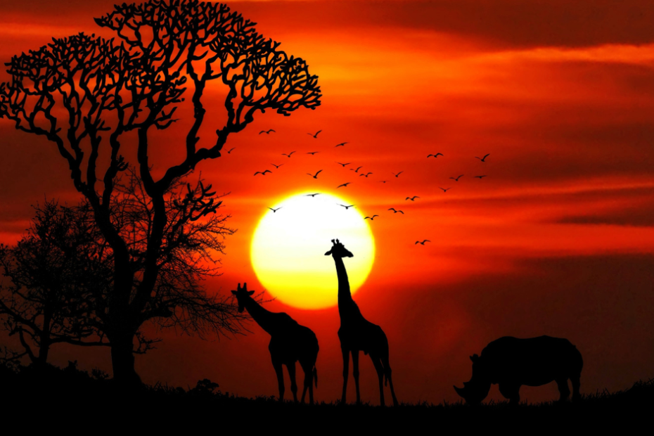 Why Africa Is Becoming the Top Destination for Kosher-Observant Travellers Photo: Own