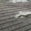 TT Waterproofing Publishes New Guides on Industrial Facility Waterproofing and Professional Roof Restoration Across Gauteng
